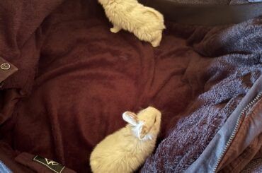 Any idea how old they are?