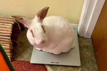 My pretty lil Peanut must be worried about her weight…