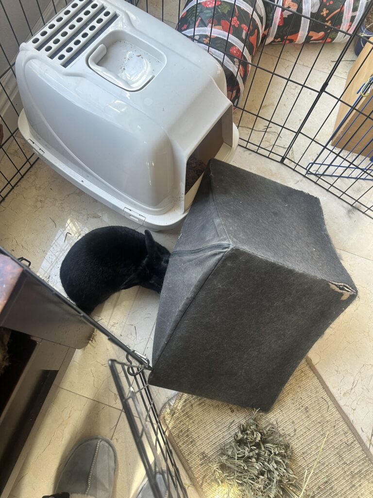 Destruction of property