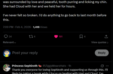 My favorite bunny on Twitter, Sephi, is gone...