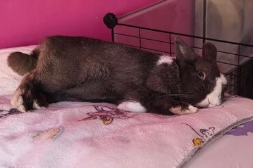 Doing nothing is exhausting