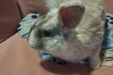 Help me name my boy?