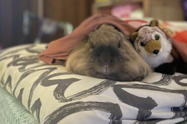 Finally seems to be getting comfortable and I am excessively excited about it!!