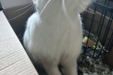 Pre-boop mouf ❤️