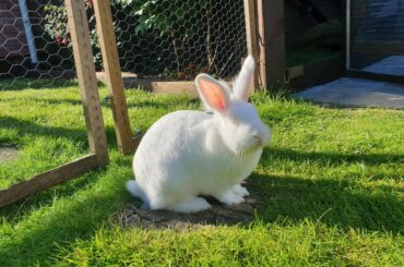 it's Ída's third gotcha day today!