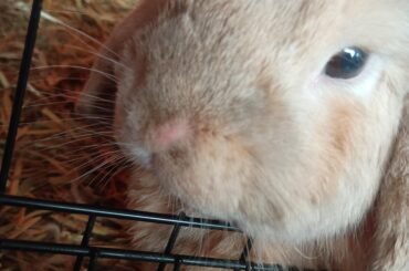 Poor baby got a funny spot on her nose