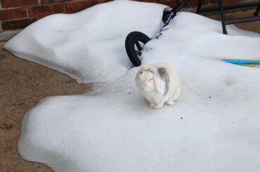 Hes gonna miss the ice, but at least he gets his scooter back.