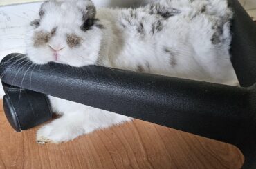 Head rest? Check ✔️ Butt rest? Check ✔️