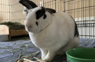 Hello, Reddit. This is Apollo.