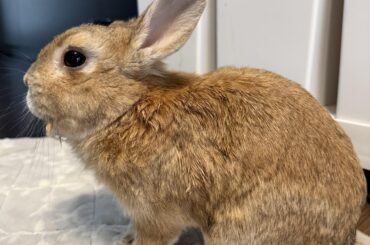 It's been a while everyone. I have something to report.