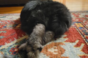 Mmmmm bunny feet