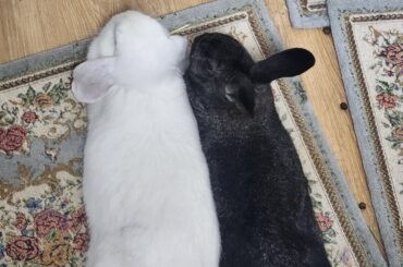 You must be in a good mood.