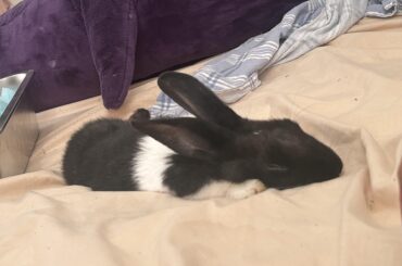 Sleepy Girl 😭❤️