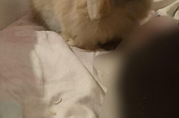 HE LOOKS SO CUTE IN THIS PHOTO HUH