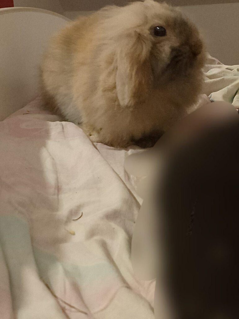 HE LOOKS SO CUTE IN THIS PHOTO HUH