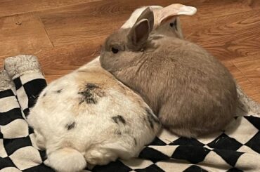 Tough day down at the cute factory