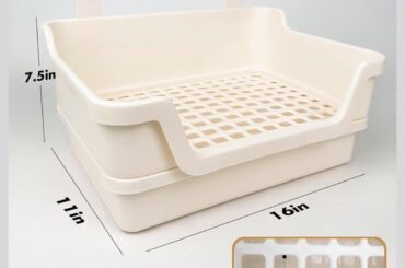 New litter box issue?