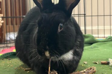 I have three weeks left until we say goodbye. I’m not ready.