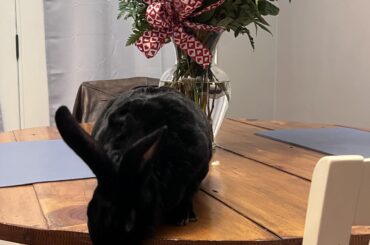 Happy valentine’s!