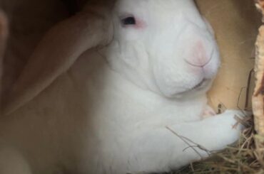 she has awoken from her thousand year long slumber