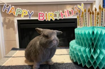 Happy 10th Birthday to this sweet boy!