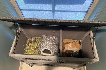 Please remove if not allowed but am I being too hard on my sister who lacks care of her rabbit?