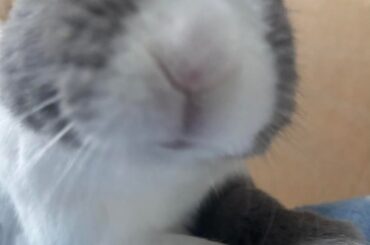 little guy 🙂😮😴