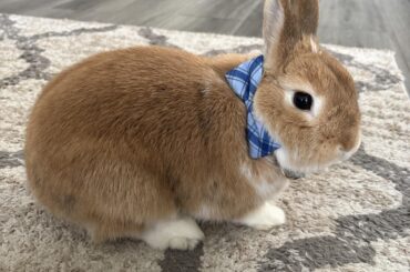 He is six. Happy Birthday Peanut🎉🎉