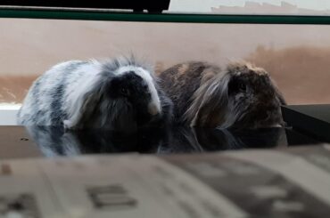 Oh my god, five months on