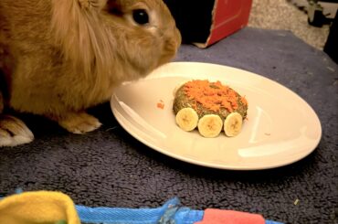 Dulce bun bun’s first birthday