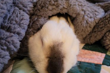 I wasn't ready, and I was never going to be