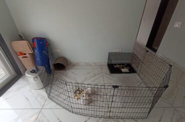 Got an enclosure for the first time