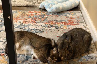 This is their house, I just got stuck paying their mortgage