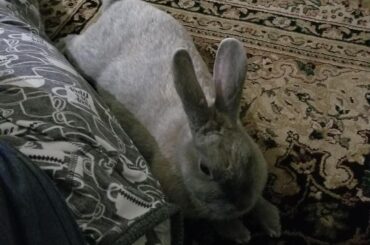 Ok I'll stay with you mama😍😍