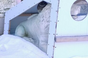 Fat bunny living in a structure protecting a statue