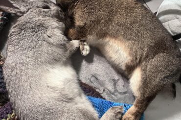 They restore my belief in love