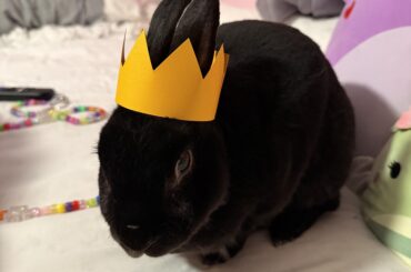 neen’s 9th birthday🩷🌟