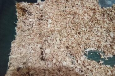 Stasis scare, is he okay?