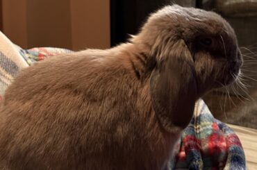 $1200 to find out someone was “stressed out”… you’re lucky we love you, pop smoke