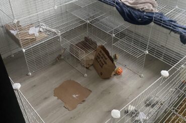 Is this big enough for her🥺