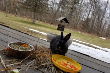 The well on the farm is not haunted and feeding the void swarm is definitely not an exorcism ritual.