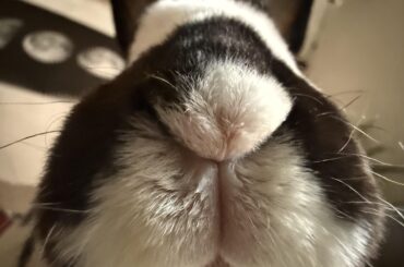 POV: She is going to chin you into a fine powder