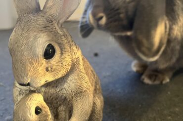 Cool your jets Thelma, they won’t eat your food