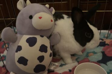 Update from previous post, Micah was adopted!