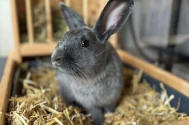 Zero privacy in this household