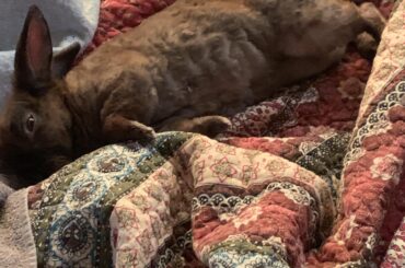 My little man Felix turns 5 in 2 months 🥹