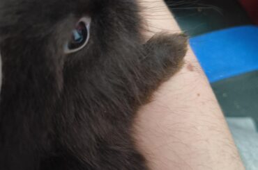 Say hello to Cookie!