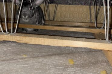 She is scheming her next attack