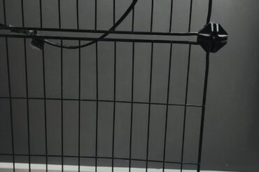 How do I secure this area so my bunny doesn't go in it?