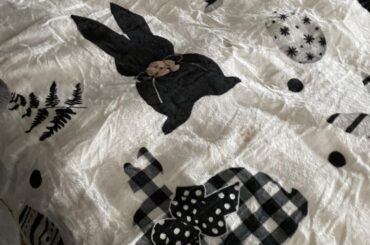 Anyone here obsessed with Rabbits just like me.